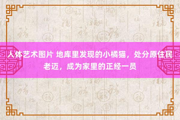 人体艺术图片 地库里发现的小橘猫，处分原住民老迈，成为家里的正经一员