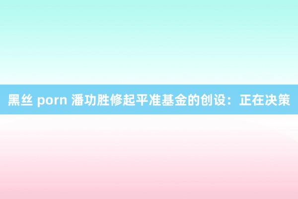 黑丝 porn 潘功胜修起平准基金的创设：正在决策