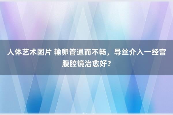人体艺术图片 输卵管通而不畅,导丝介入一经宫腹腔镜治愈好?