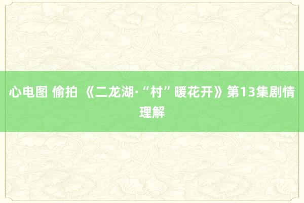 心电图 偷拍 《二龙湖·“村”暖花开》第13集剧情理解