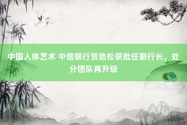 中国人体艺术 中信银行贺劲松获批任副行长，处分团队再升级