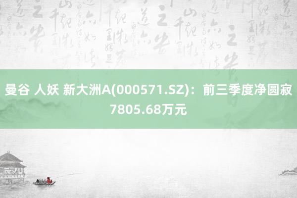 曼谷 人妖 新大洲A(000571.SZ)：前三季度净圆寂7805.68万元