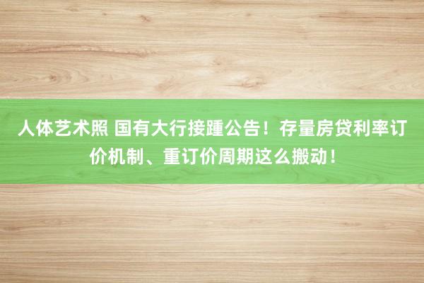 人体艺术照 国有大行接踵公告！存量房贷利率订价机制、重订价周期这么搬动！