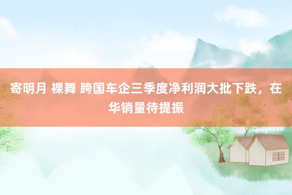 寄明月 裸舞 跨国车企三季度净利润大批下跌，在华销量待提振