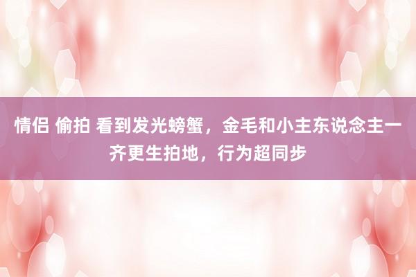 情侣 偷拍 看到发光螃蟹，金毛和小主东说念主一齐更生拍地，行为超同步