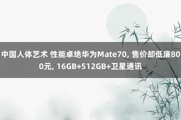 中国人体艺术 性能卓绝华为Mate70， 售价却低廉800元， 16GB+512GB+卫星通讯