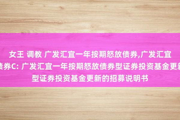 女王 调教 广发汇宜一年按期怒放债券,广发汇宜一年按期怒放债券C: 广发汇宜一年按期怒放债券型证券投资基金更新的招募说明书