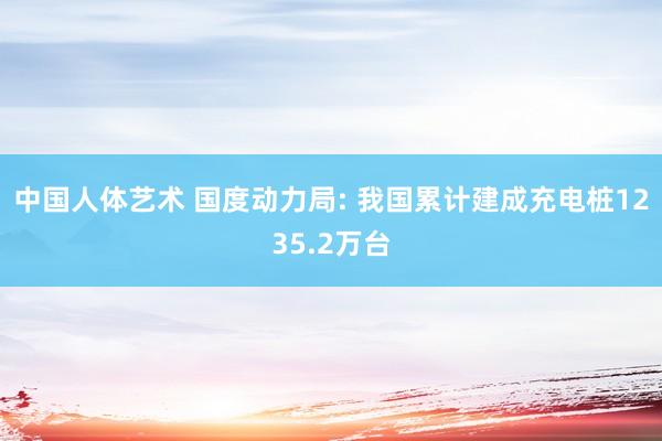 中国人体艺术 国度动力局: 我国累计建成充电桩1235.2万台