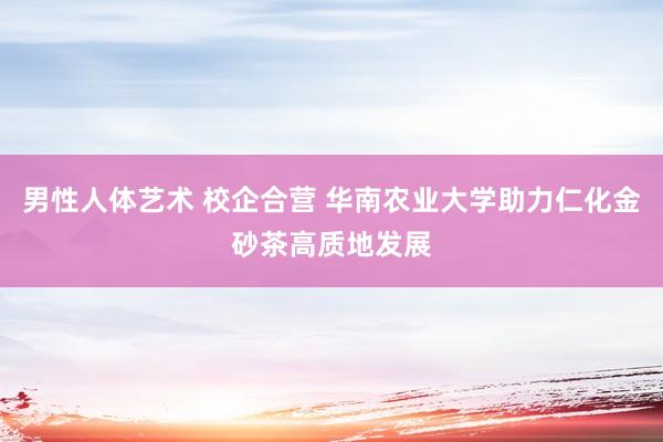 男性人体艺术 校企合营 华南农业大学助力仁化金砂茶高质地发展