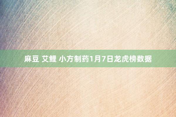 麻豆 艾鲤 小方制药1月7日龙虎榜数据
