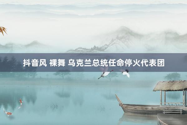 抖音风 裸舞 乌克兰总统任命停火代表团