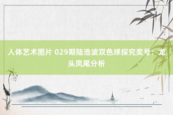人体艺术图片 029期陆浩波双色球探究奖号：龙头凤尾分析