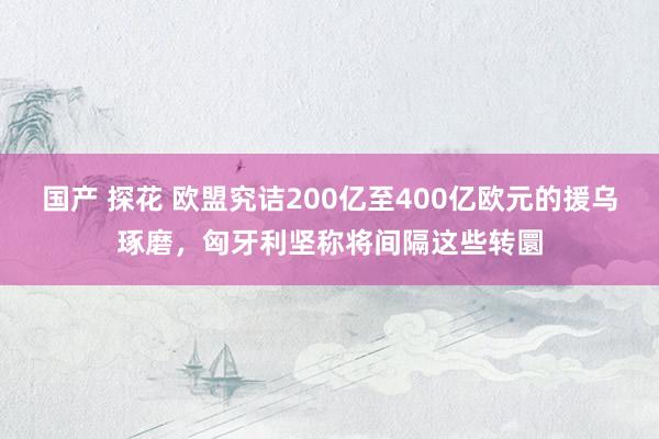 国产 探花 欧盟究诘200亿至400亿欧元的援乌琢磨，匈牙利坚称将间隔这些转圜