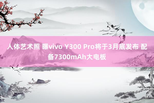 人体艺术照 曝vivo Y300 Pro将于3月底发布 配备7300mAh大电板
