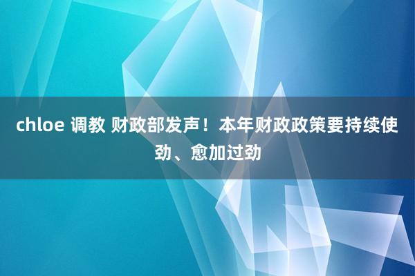 chloe 调教 财政部发声！本年财政政策要持续使劲、愈加过劲