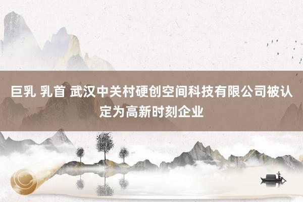 巨乳 乳首 武汉中关村硬创空间科技有限公司被认定为高新时刻企业
