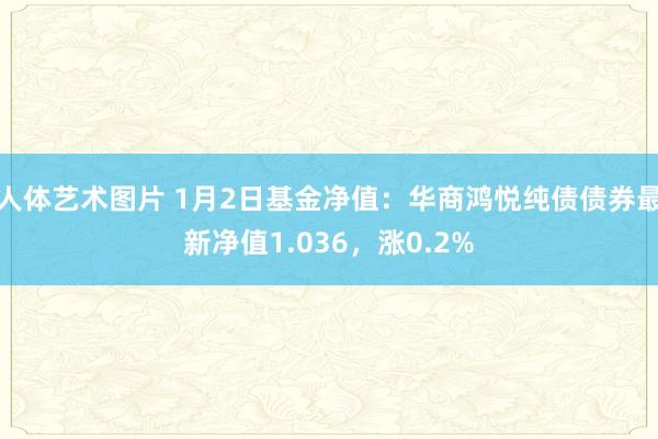 人体艺术图片 1月2日基金净值：华商鸿悦纯债债券最新净值1.036，涨0.2%