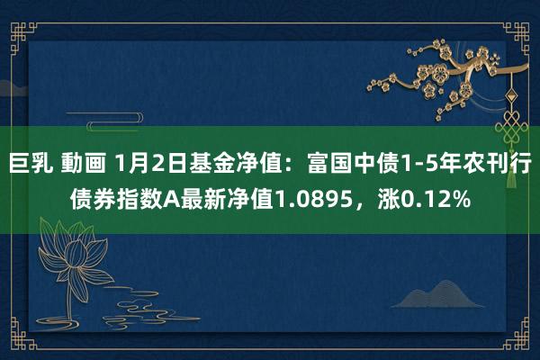 巨乳 動画 1月2日基金净值：富国中债1-5年农刊行债券指数A最新净值1.0895，涨0.12%