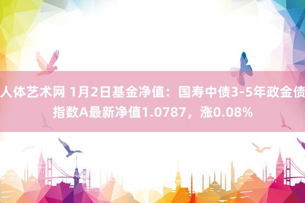 人体艺术网 1月2日基金净值：国寿中债3-5年政金债指数A最新净值1.0787，涨0.08%