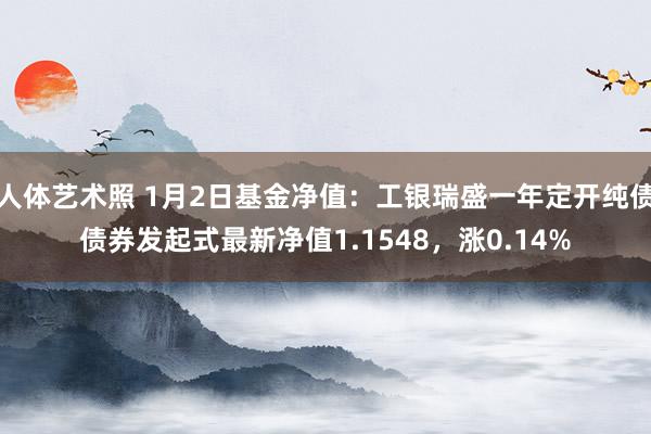 人体艺术照 1月2日基金净值：工银瑞盛一年定开纯债债券发起式最新净值1.1548，涨0.14%