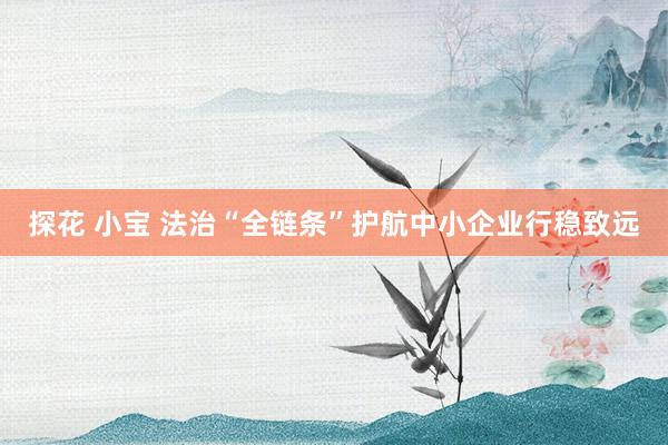 探花 小宝 法治“全链条”护航中小企业行稳致远