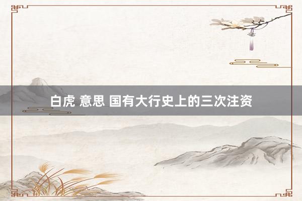 白虎 意思 国有大行史上的三次注资