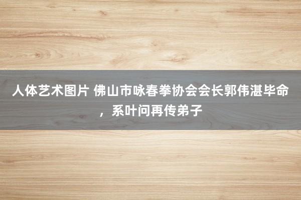 人体艺术图片 佛山市咏春拳协会会长郭伟湛毕命，系叶问再传弟子