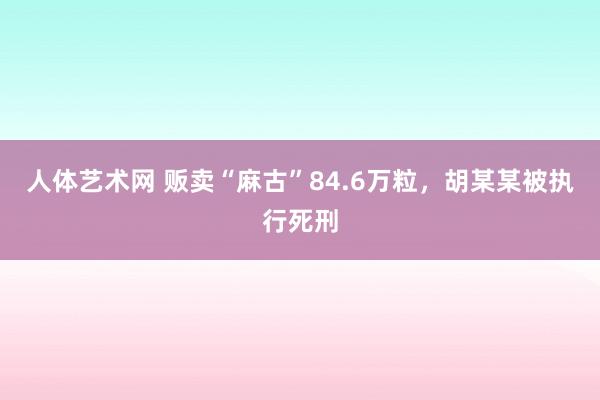 人体艺术网 贩卖“麻古”84.6万粒，胡某某被执行死刑