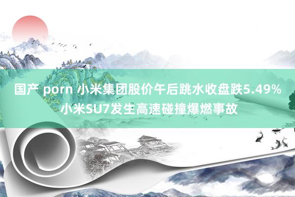 国产 porn 小米集团股价午后跳水收盘跌5.49% 小米SU7发生高速碰撞爆燃事故