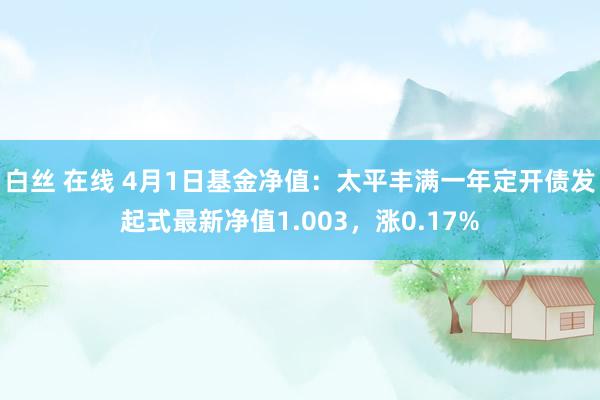 白丝 在线 4月1日基金净值：太平丰满一年定开债发起式最新净值1.003，涨0.17%