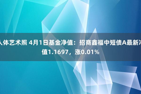 人体艺术照 4月1日基金净值：招商鑫福中短债A最新净值1.1697，涨0.01%