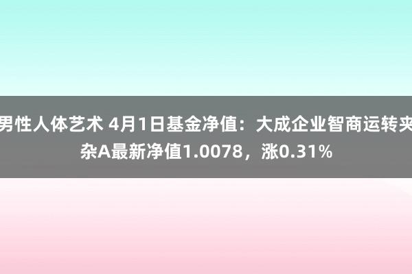 男性人体艺术 4月1日基金净值：大成企业智商运转夹杂A最新净值1.0078，涨0.31%