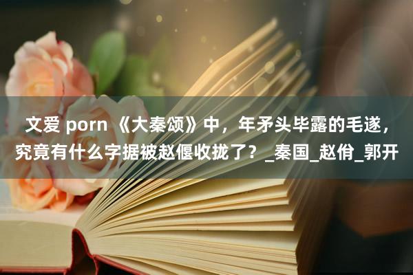 文爱 porn 《大秦颂》中，年矛头毕露的毛遂，究竟有什么字据被赵偃收拢了？_秦国_赵佾_郭开