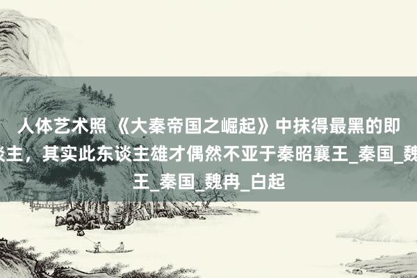 人体艺术照 《大秦帝国之崛起》中抹得最黑的即是此东谈主，其实此东谈主雄才偶然不亚于秦昭襄王_秦国_魏冉_白起