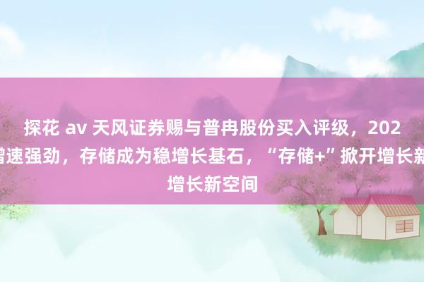 探花 av 天风证券赐与普冉股份买入评级，2024年增速强劲，存储成为稳增长基石，“存储+”掀开增长新空间