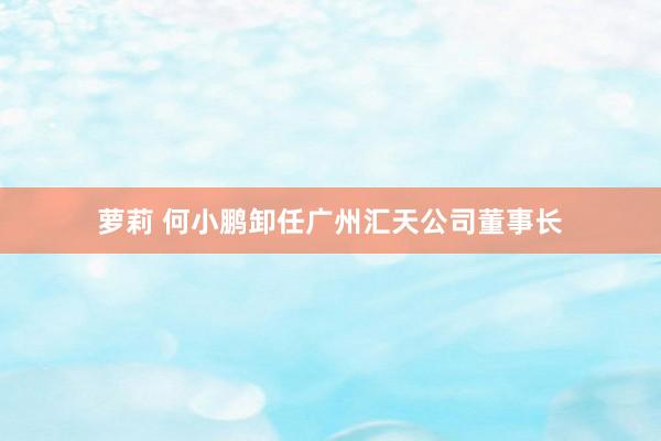 萝莉 何小鹏卸任广州汇天公司董事长