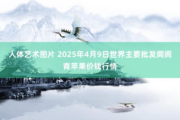 人体艺术图片 2025年4月9日世界主要批发阛阓青苹果价钱行情