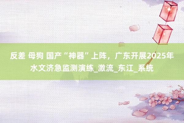 反差 母狗 国产“神器”上阵，广东开展2025年水文济急监测演练_激流_东江_系统
