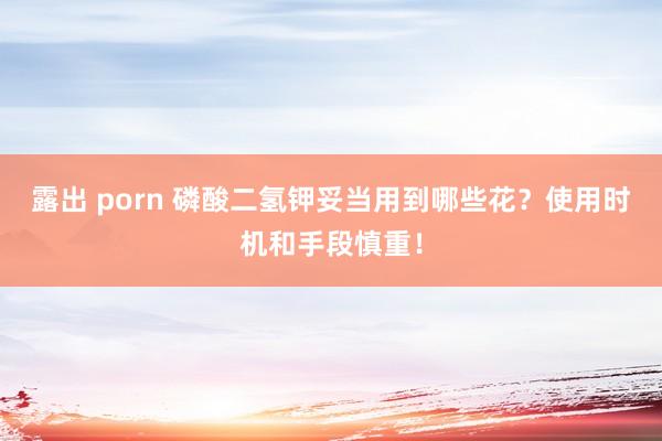 露出 porn 磷酸二氢钾妥当用到哪些花？使用时机和手段慎重！