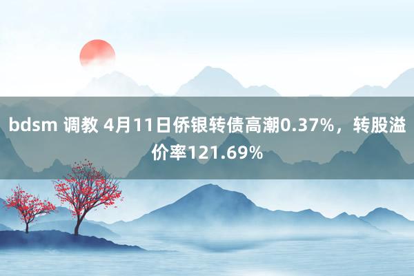 bdsm 调教 4月11日侨银转债高潮0.37%，转股溢价率121.69%