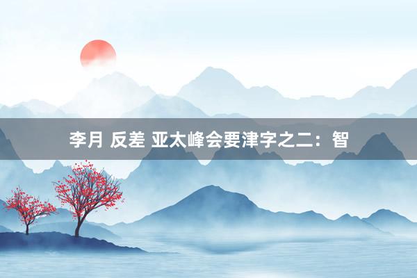 李月 反差 亚太峰会要津字之二：智