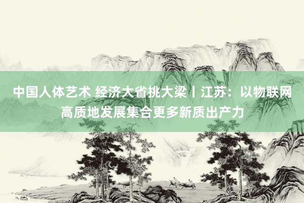 中国人体艺术 经济大省挑大梁丨江苏：以物联网高质地发展集合更多新质出产力