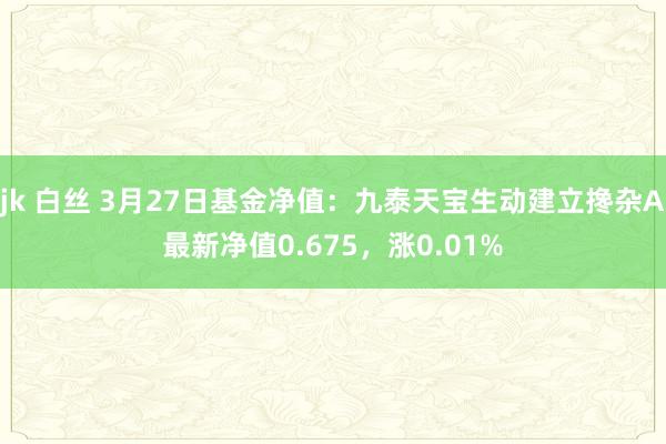 jk 白丝 3月27日基金净值：九泰天宝生动建立搀杂A最新净值0.675，涨0.01%