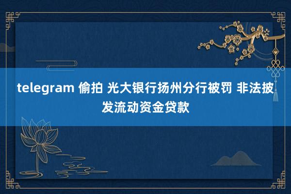 telegram 偷拍 光大银行扬州分行被罚 非法披发流动资金贷款