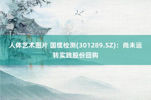 人体艺术图片 国缆检测(301289.SZ)：尚未运转实践股份回购