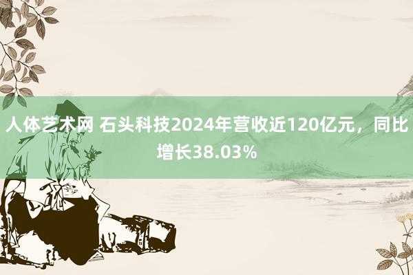人体艺术网 石头科技2024年营收近120亿元,同比增长38.03%