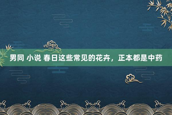 男同 小说 春日这些常见的花卉，正本都是中药