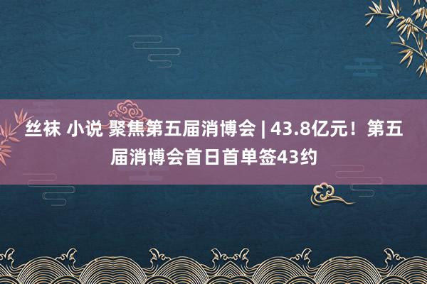 丝袜 小说 聚焦第五届消博会 | 43.8亿元！第五届消博会首日首单签43约