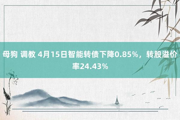 母狗 调教 4月15日智能转债下降0.85%，转股溢价率24.43%