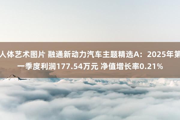 人体艺术图片 融通新动力汽车主题精选A：2025年第一季度利润177.54万元 净值增长率0.21%